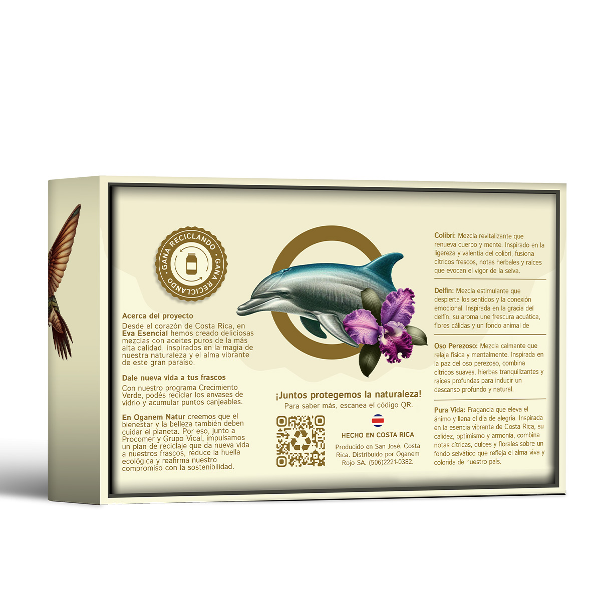 Esencial Blends - 4pack